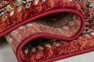 Běhoun Sincerity Royale Sandford Red