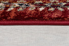 Běhoun Sincerity Royale Sandford Red