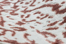 Kusový koberec Allure 1961 white/pink