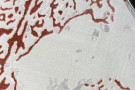 Kusový koberec Allure 1961 white/pink