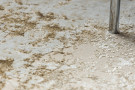 Kusový koberec Allure 1959 cream/beige