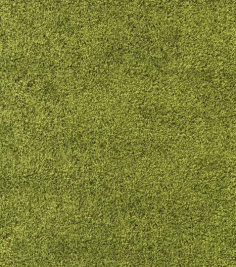 Kusový koberec Life Shaggy 1500 zelený